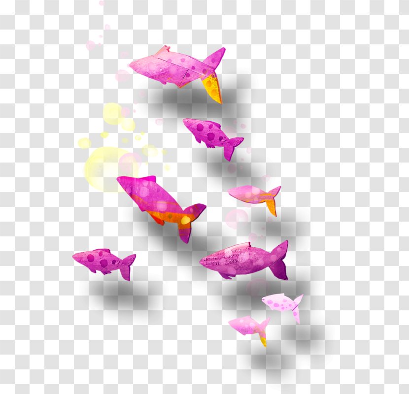 Pink M - Flowering Plant - Dragon Fish Transparent PNG