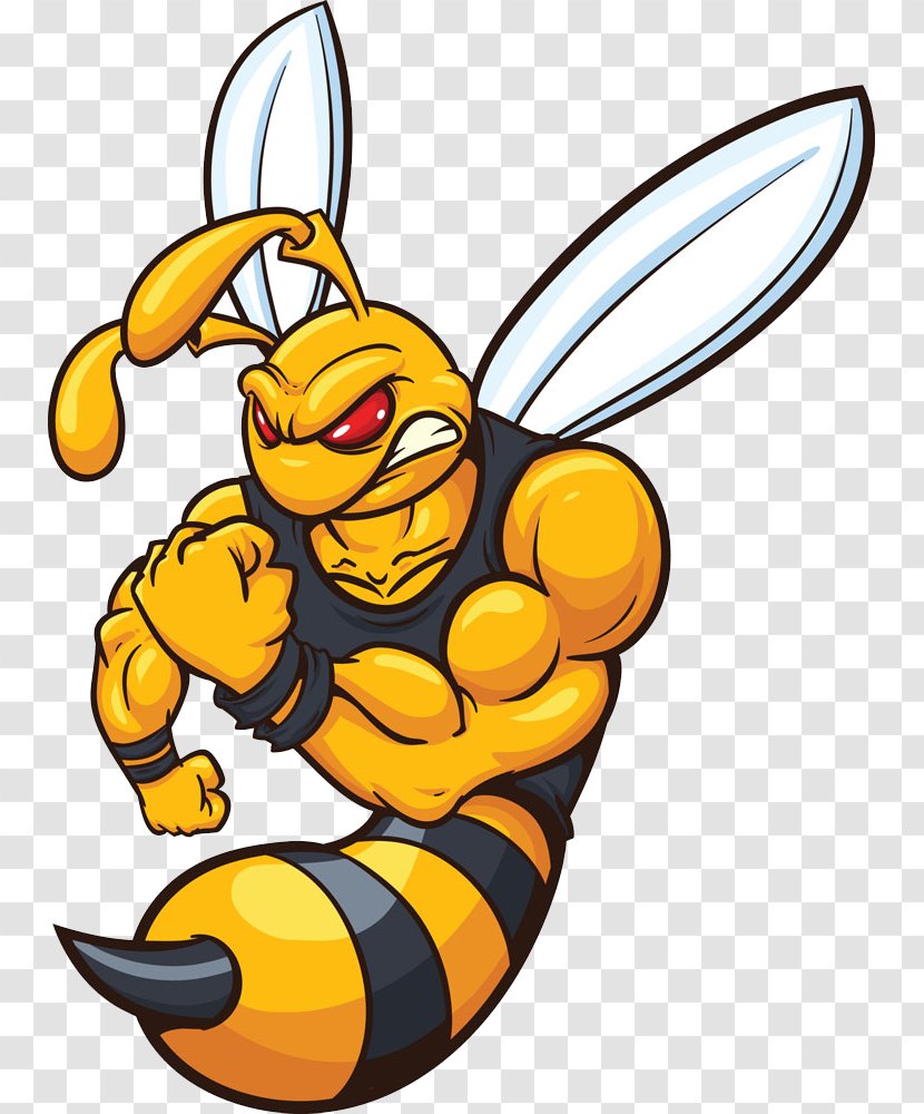 Hornet Bee Yellowjacket Cartoon - Illustration - Muscle Hornets Transparent PNG