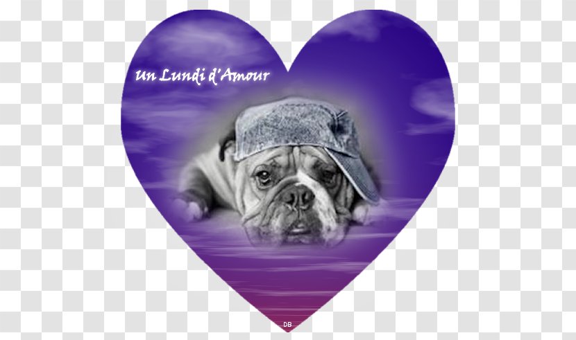 Pug Bulldog Puppy Dog Breed Love - Flower - Mon Amour Transparent PNG