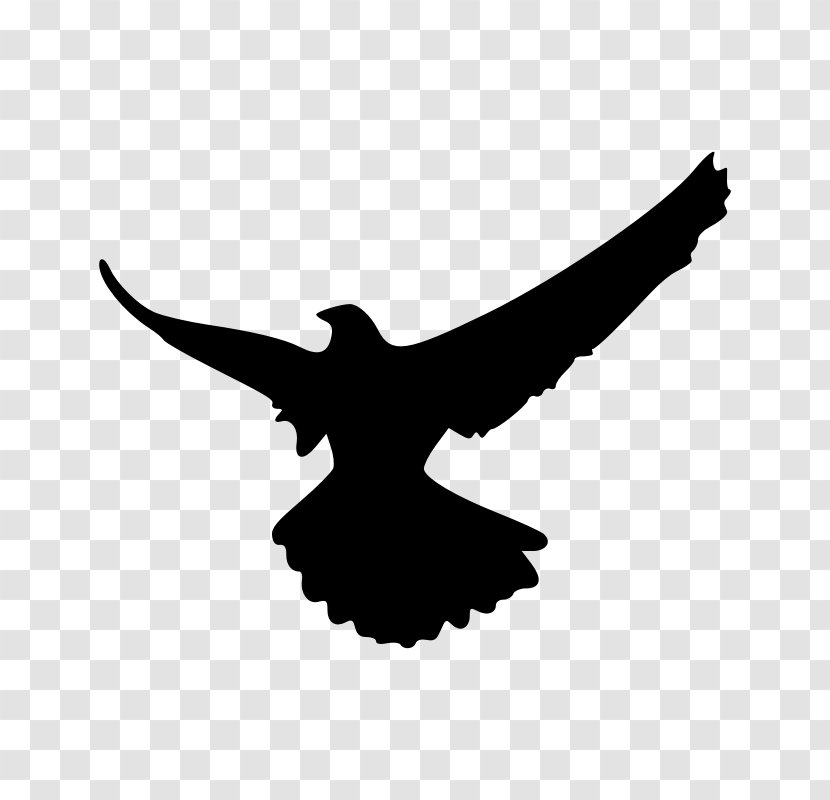 Falcon Silhouette Clip Art Transparent PNG