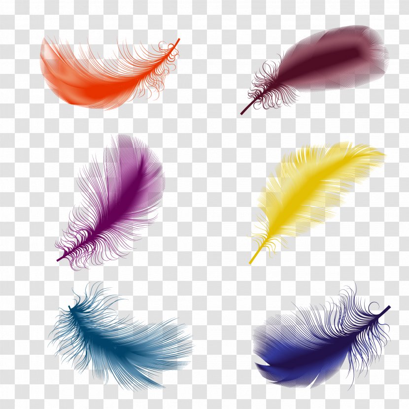 Bird Feather Drawing Illustration - Eyelash - Floating Transparent PNG