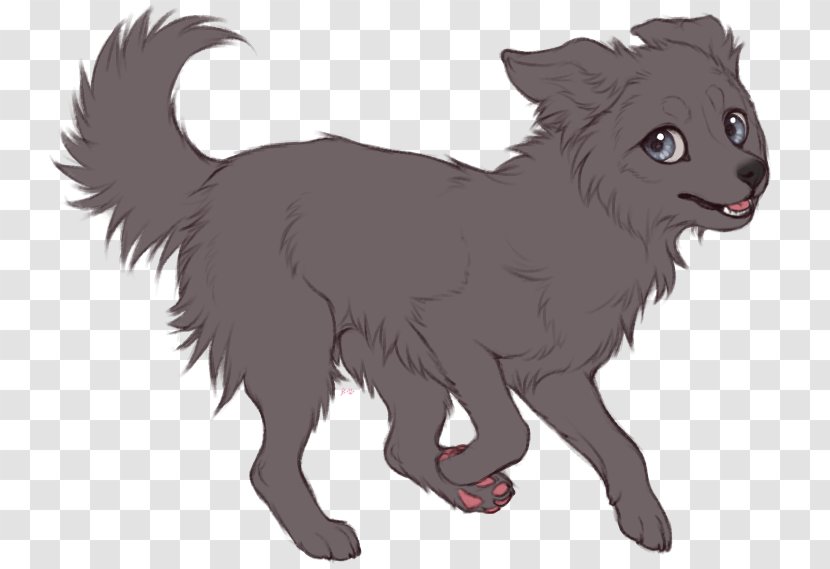 Border Collie Whiskers Rough Dog Breed Drawing - Fauna - Psd Shading Transparent PNG