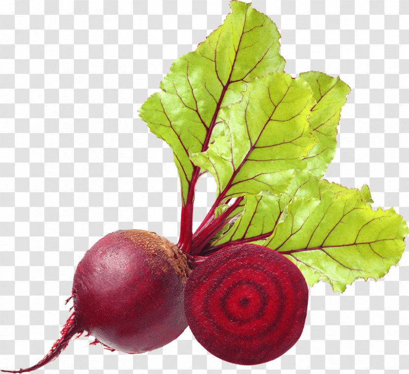 Beetroot Vegetarian Cuisine Food Vegetable Blueberry - Root Vegetables Transparent PNG