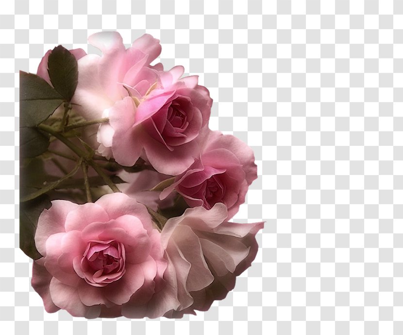 Rose Pink Flowers Wallpaper - Antique Jewelry Design Transparent PNG