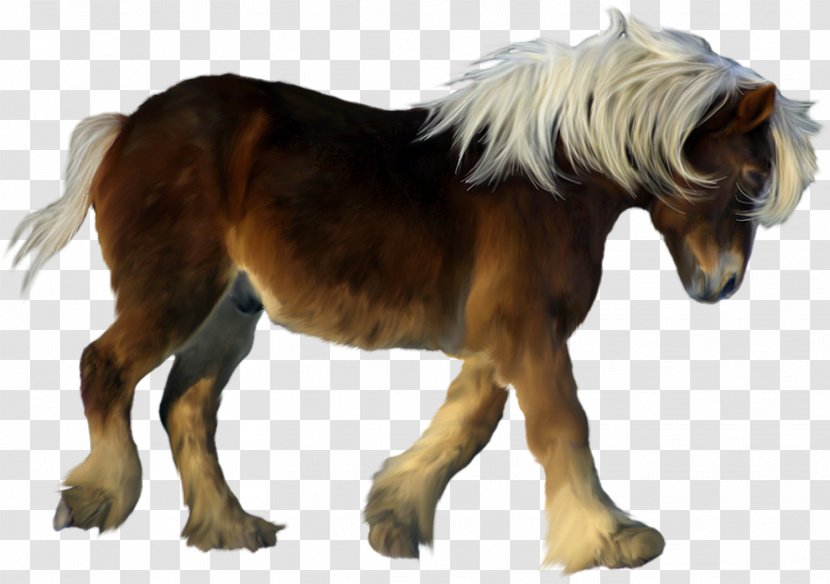 American Miniature Horse Pony Foal Colt Stallion - Tack - 3d Dog Transparent PNG