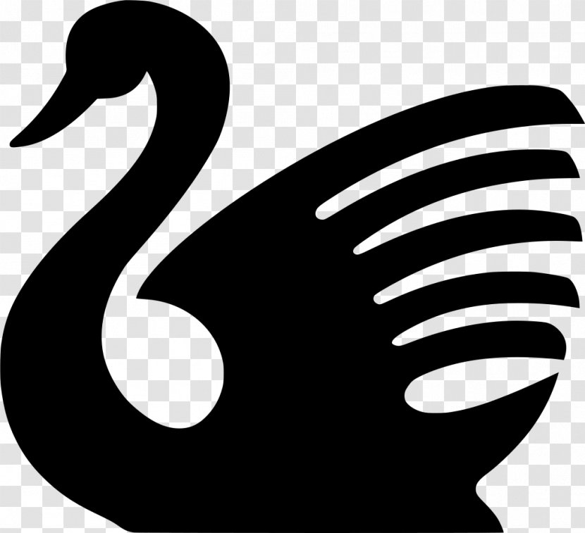 Bird Line Drawing - Silhouette - Blackandwhite Waterfowl Transparent PNG