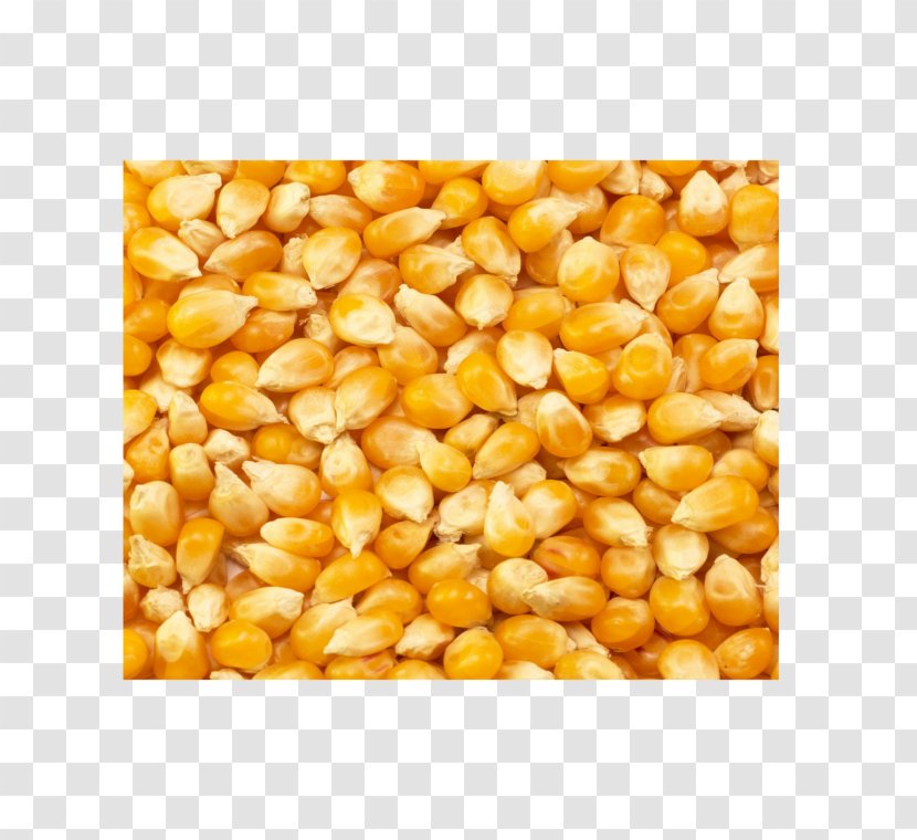 Sweet Corn Maize Popcorn Cereal Kernel - Rice Transparent PNG