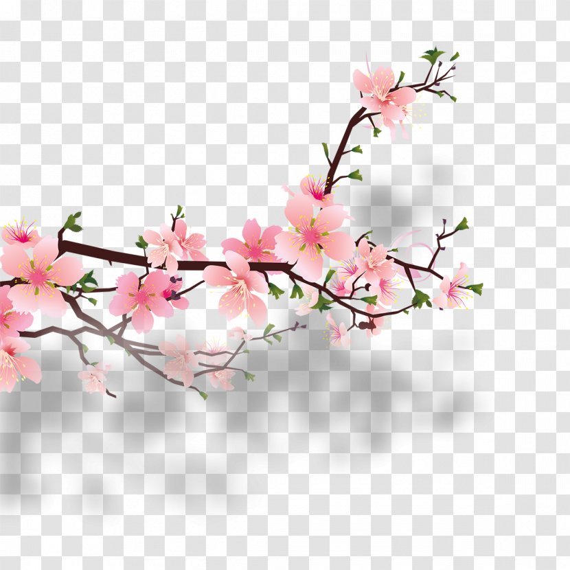 Cherry Blossom Peach Clip Art - Flower Arranging - Beautiful Transparent PNG