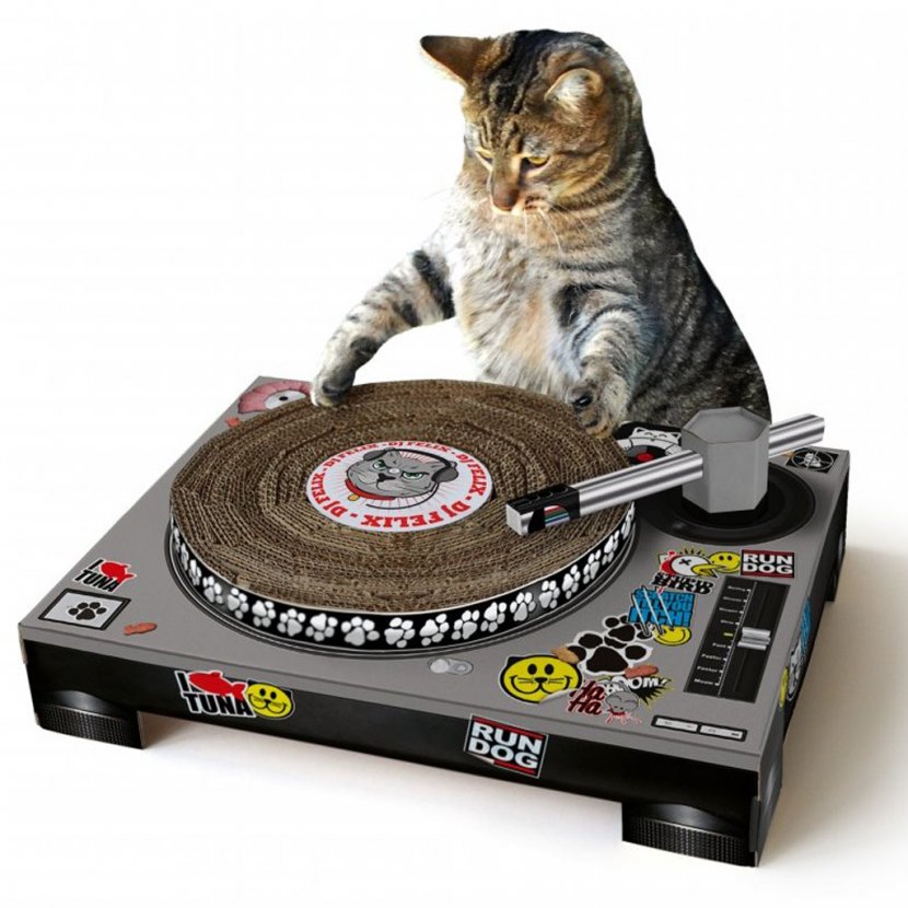 Cat Felidae Disc Jockey Scratching Pet - Flower - Turntable Transparent PNG