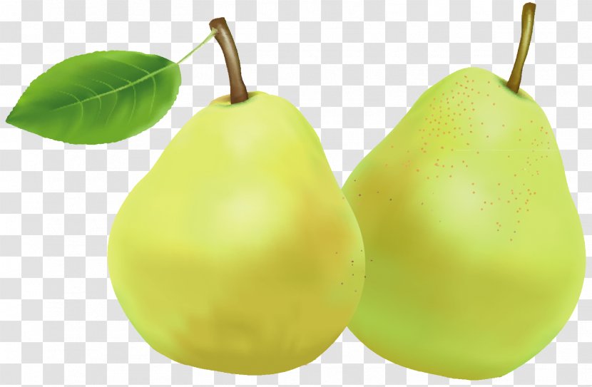 Pear Food Fruit - Tasty Transparent PNG