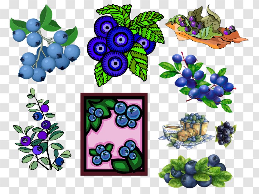 Bilberry Blueberry Clip Art - Grape - Hand-painted Transparent PNG