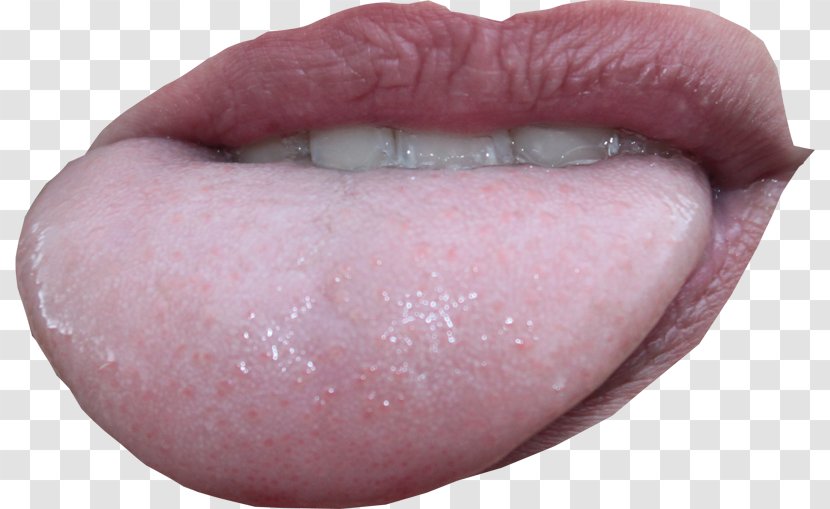 Arrow Lipstick - Tongue - Boca Transparent PNG