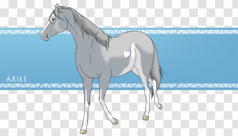 Mane Foal Stallion Colt Mare - Horse Tack - Mustang Transparent PNG