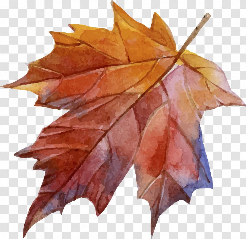 Paper Autumn Drawing - Watercolor Painting - Leaf Transparent PNG
