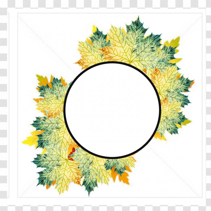 Maple Leaf Cut Flowers - Vector Watercolor Decorative Box Transparent PNG