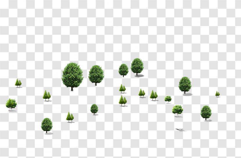 Tree 3D Computer Graphics Wallpaper - 3d Trees More Transparent PNG