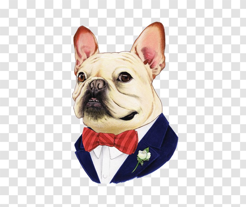 French Bulldog Boston Terrier Puppy Pug Transparent PNG