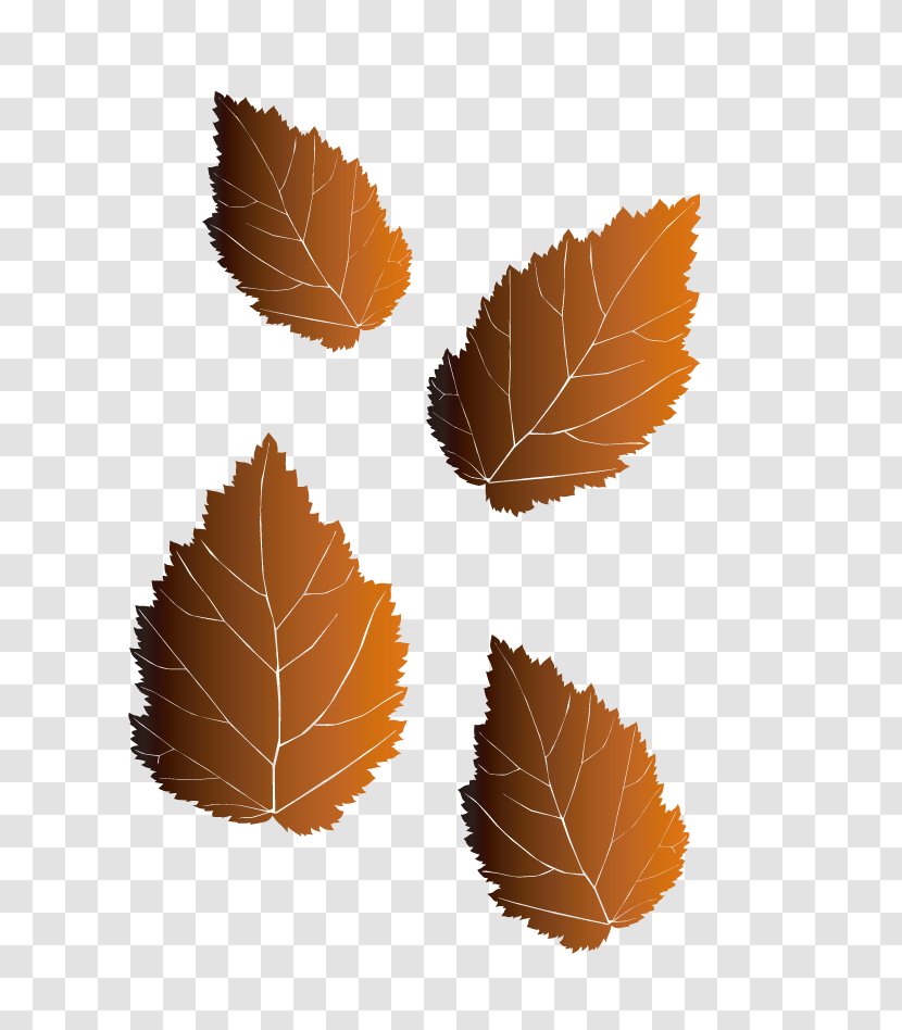Leaf Illustration - Rectangle Transparent PNG