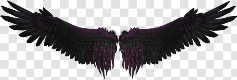 Wing - Drawing - Costume Accessory Transparent PNG