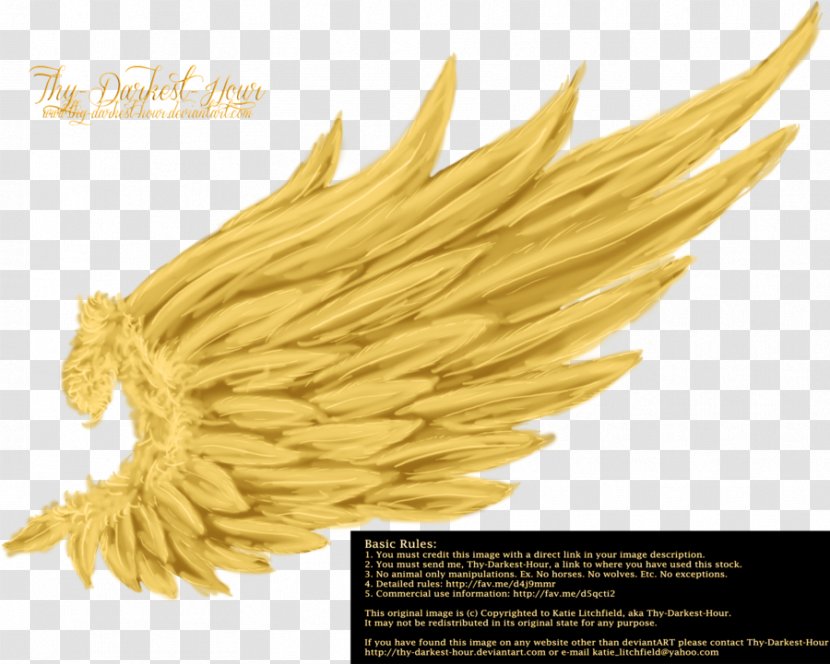 YouTube Gold Information - Angel Wings Transparent PNG