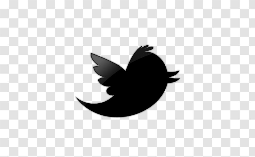 Social Media Advertising Logo Blog - Bird - Logos Images Transparent PNG