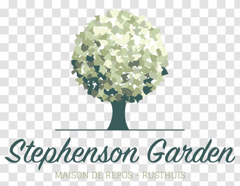 Where's Stephanie? A Story Of Love, Faith, And Courage Stephenson Garden Rue House Old Age Home Transparent PNG