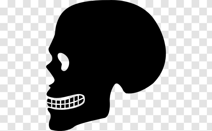 Skull Human Body Head - Jaw - People Transparent PNG