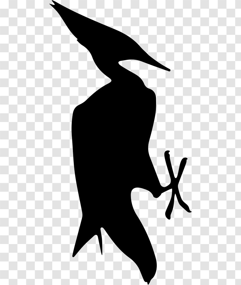 Bird Silhouette - Blackandwhite Wing Transparent PNG