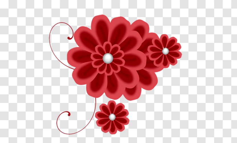 Dahlia Transvaal Daisy Chrysanthemum Cut Flowers LiveInternet Transparent PNG