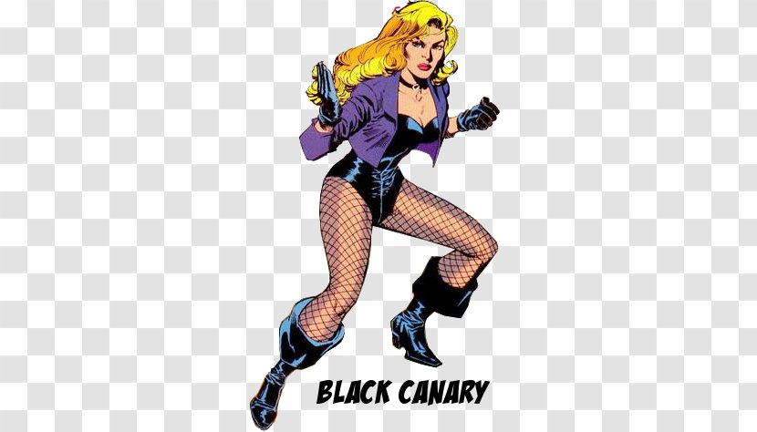 Black Canary Arrow Batman Flash Comics - Fiction Transparent PNG