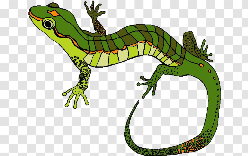 Lizard 两栖爬行 Clip Art - Cartoon Transparent PNG