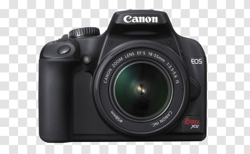 Canon EOS 1000D 1100D 450D 500D 700D - Lens - Colorful Bird Transparent PNG