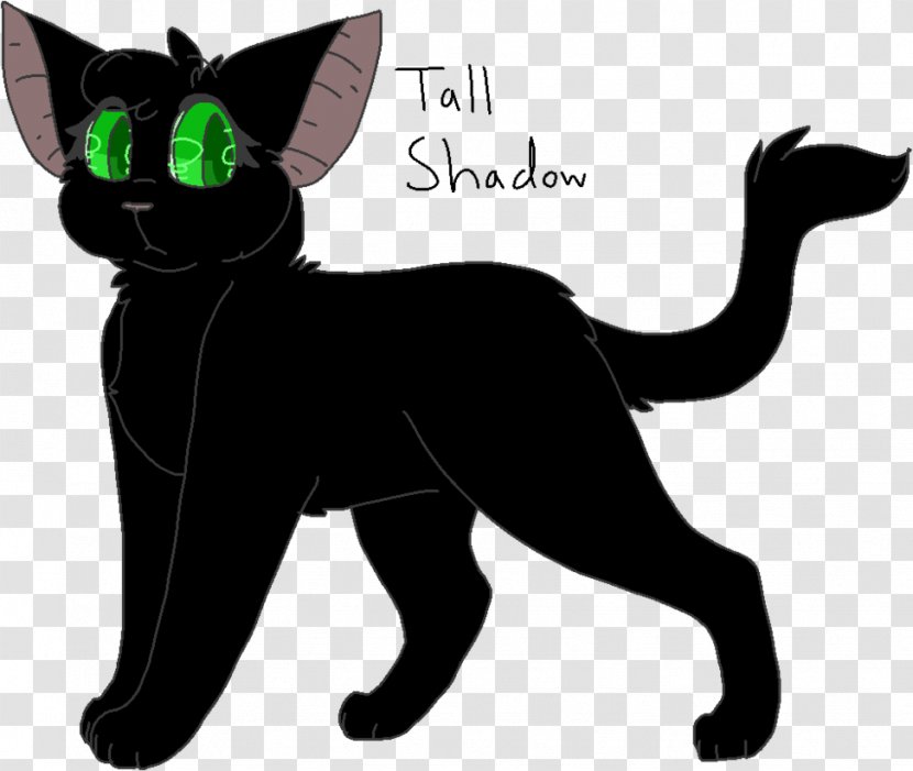 Cat Kitten Warriors Shadowstar Thistleclaw - Snowfur - Shadow Warrior Transparent PNG