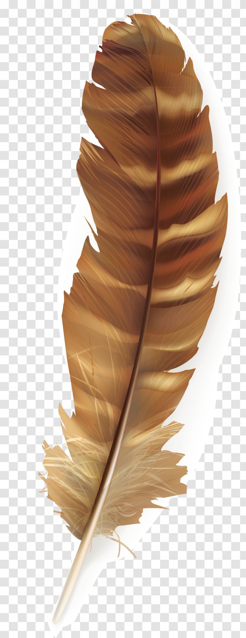 Bird Feather Poster - Plane - Brown Feathers Transparent PNG