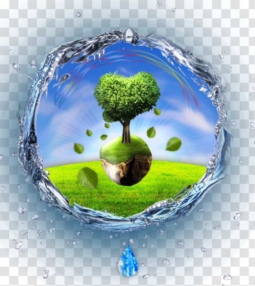 Earth Tree - Cloud - Trees In The Water Transparent PNG
