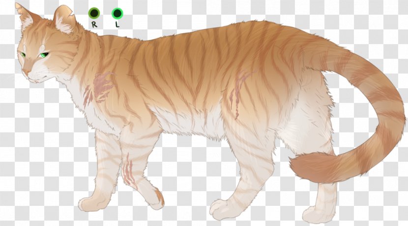 Whiskers Tiger Lion Wildcat - Tail Transparent PNG