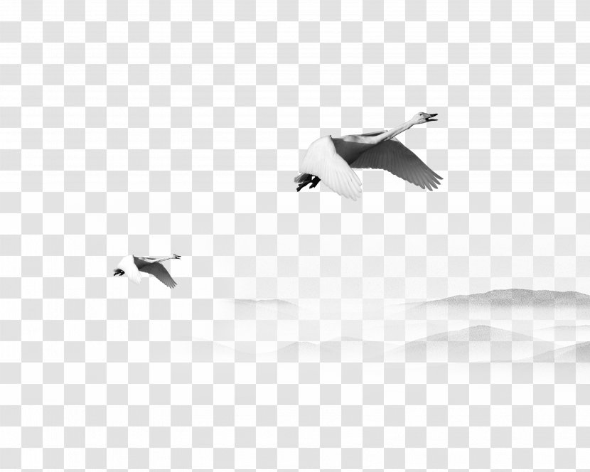 White Bird Beak Pattern - Monochrome - Crane And Mountains Black Ink Decorative Freshwater Transparent PNG