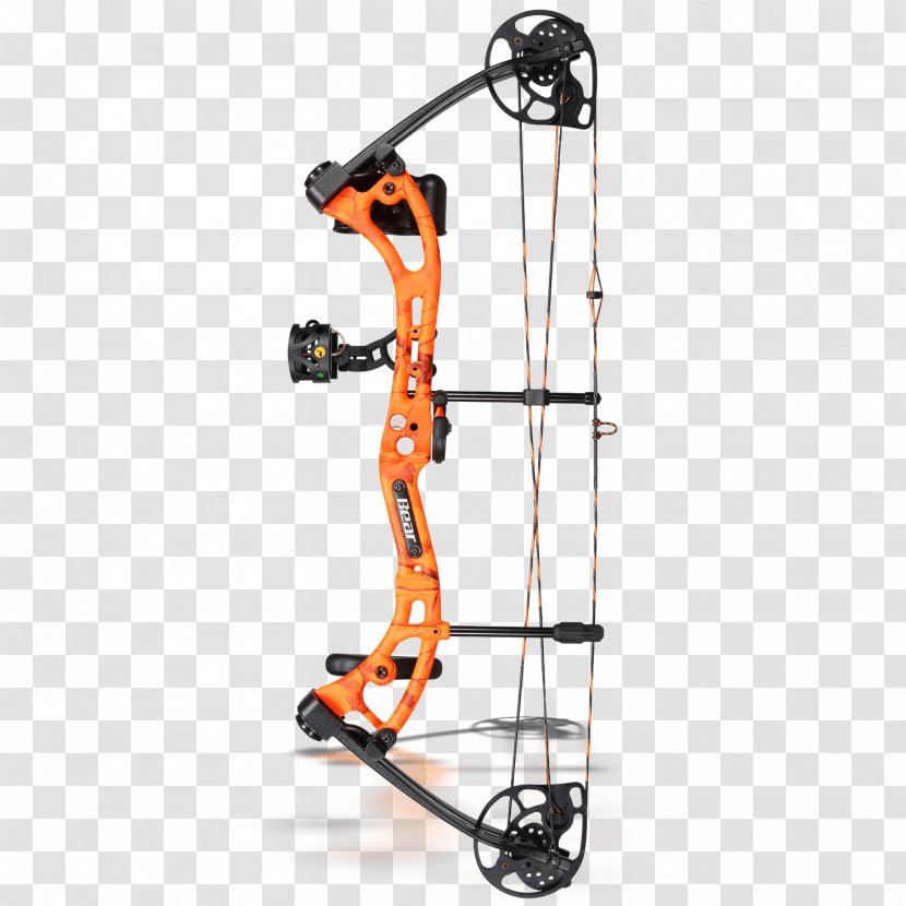 Bear Archery Compound Bows Bow And Arrow Apprenticeship - Bowhunting Transparent PNG