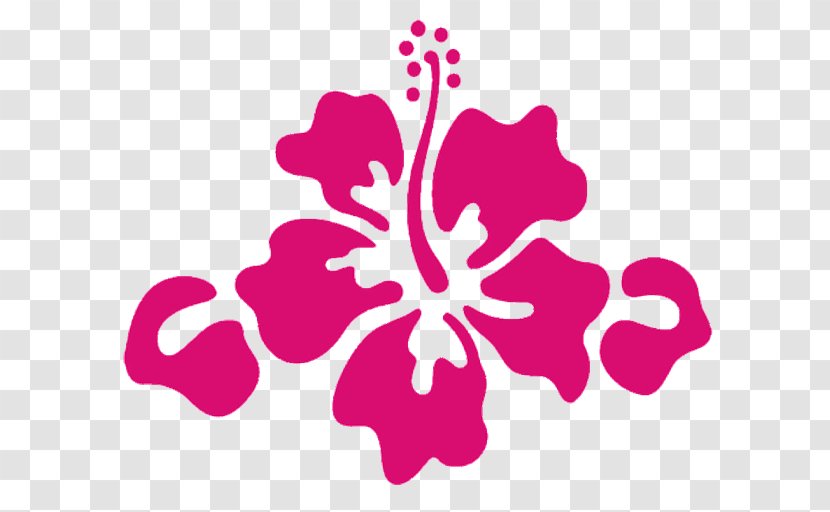 Hawaiian Hibiscus Sticker Decal - Bachelor Transparent PNG