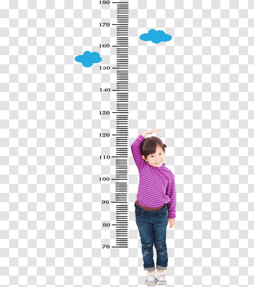 Toddler Human Height Growth Chart Child Measurement - Cartoon - Childrens Transparent PNG