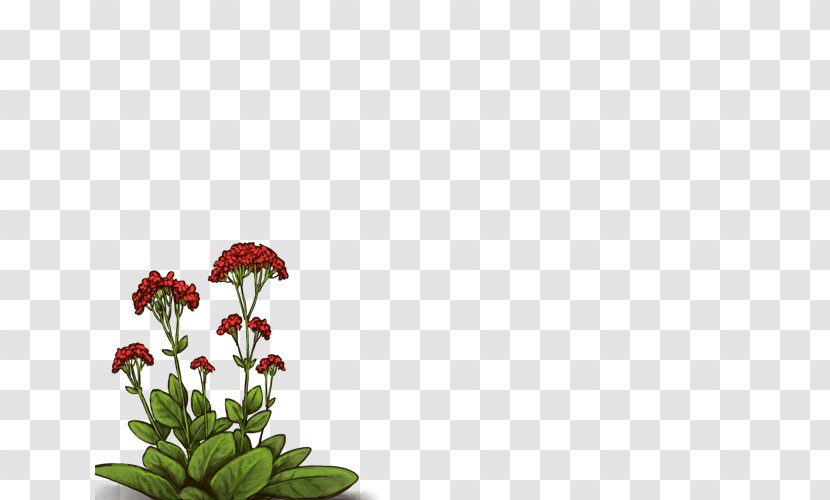 Floral Design Cut Flowers Plant Stem Flowerpot - Petal Transparent PNG