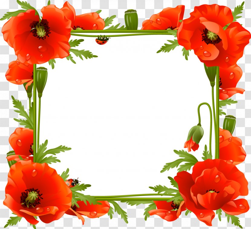 Picture Frames Borders And Photography Clip Art - Poppy - Painting Transparent PNG