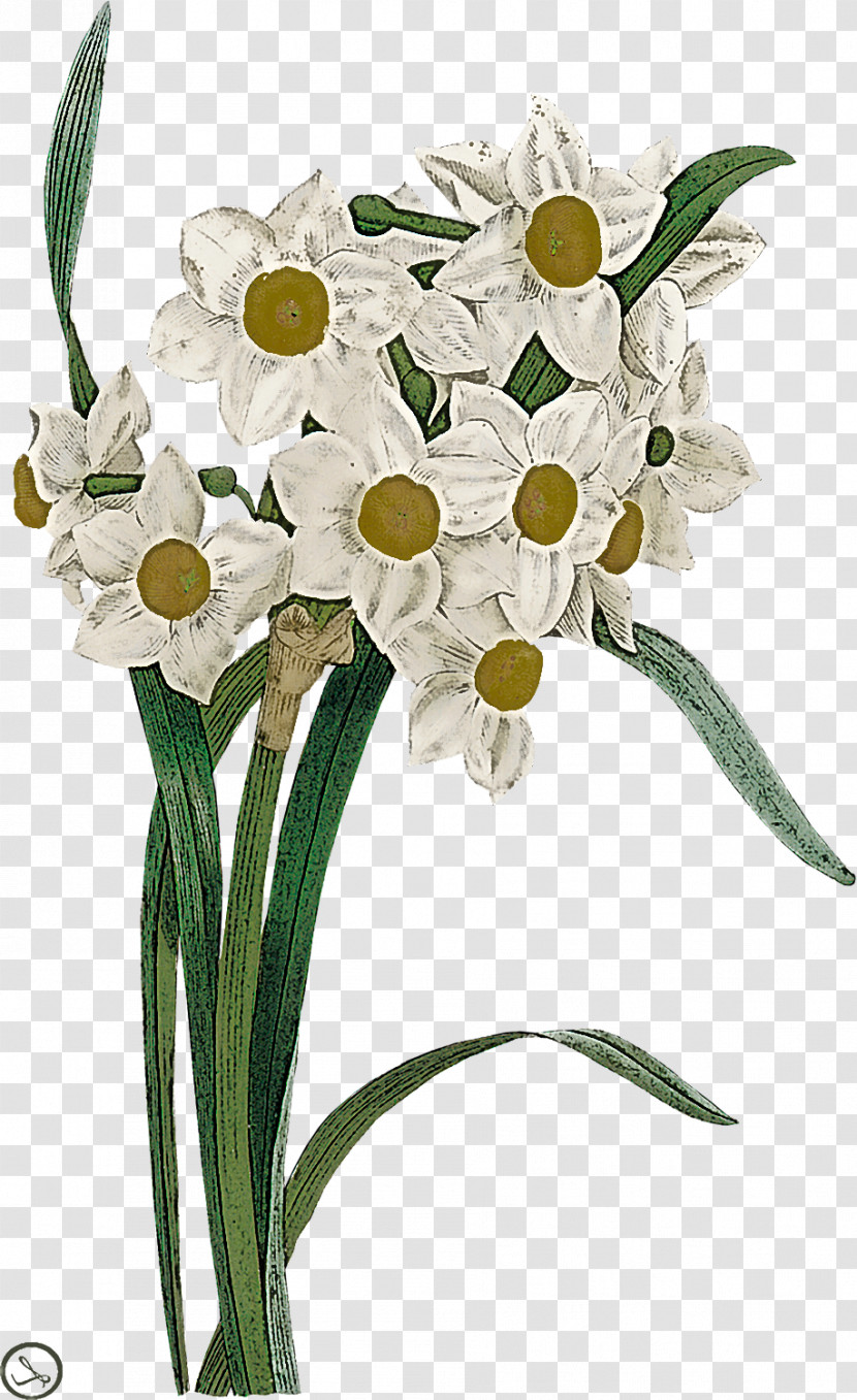 Flower Cut Flowers Plant Bouquet Flowerpot Transparent PNG