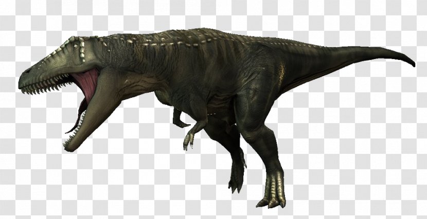 Tyrannosaurus Carcharodontosaurus Giganotosaurus Spinosaurus Acrocanthosaurus - Carnivore - Jpog Transparent PNG