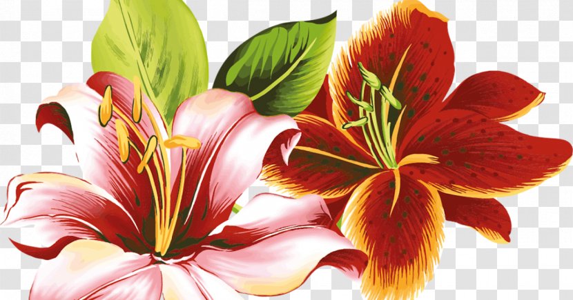 Flower Orange Day-lily Coloring Book Drawing Child - Flowering Plant - Digital Transparent PNG