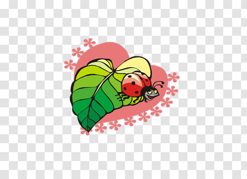 Ladybird Beetle Clip Art - Leaf - Fo Transparent PNG