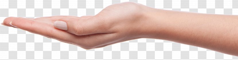 Thumb Product Hand Model - Frame - Palm Hands Image Transparent PNG