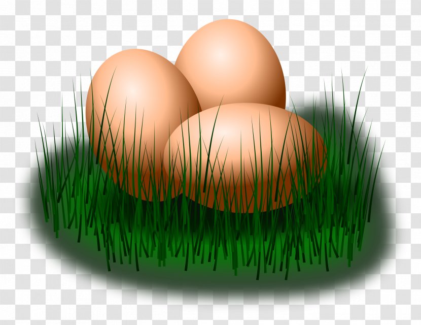 Fried Egg Chicken Easter Clip Art - Eggs Transparent PNG