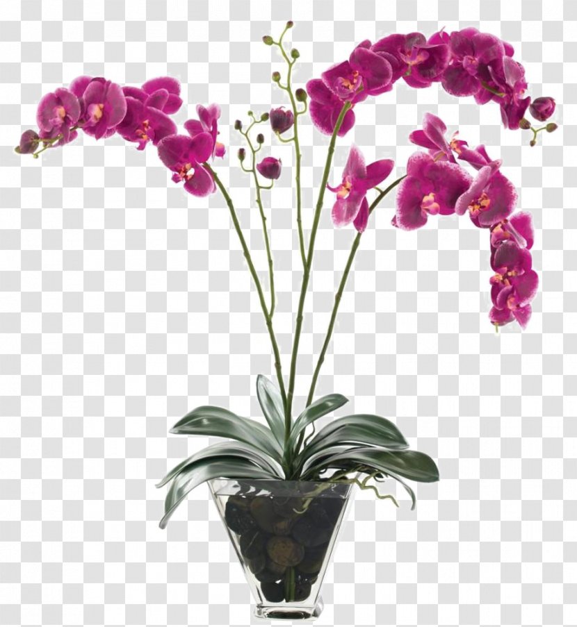 Flowers In A Vase - Flower - Purple Decorated Soft Furnishings Installed Transparent PNG