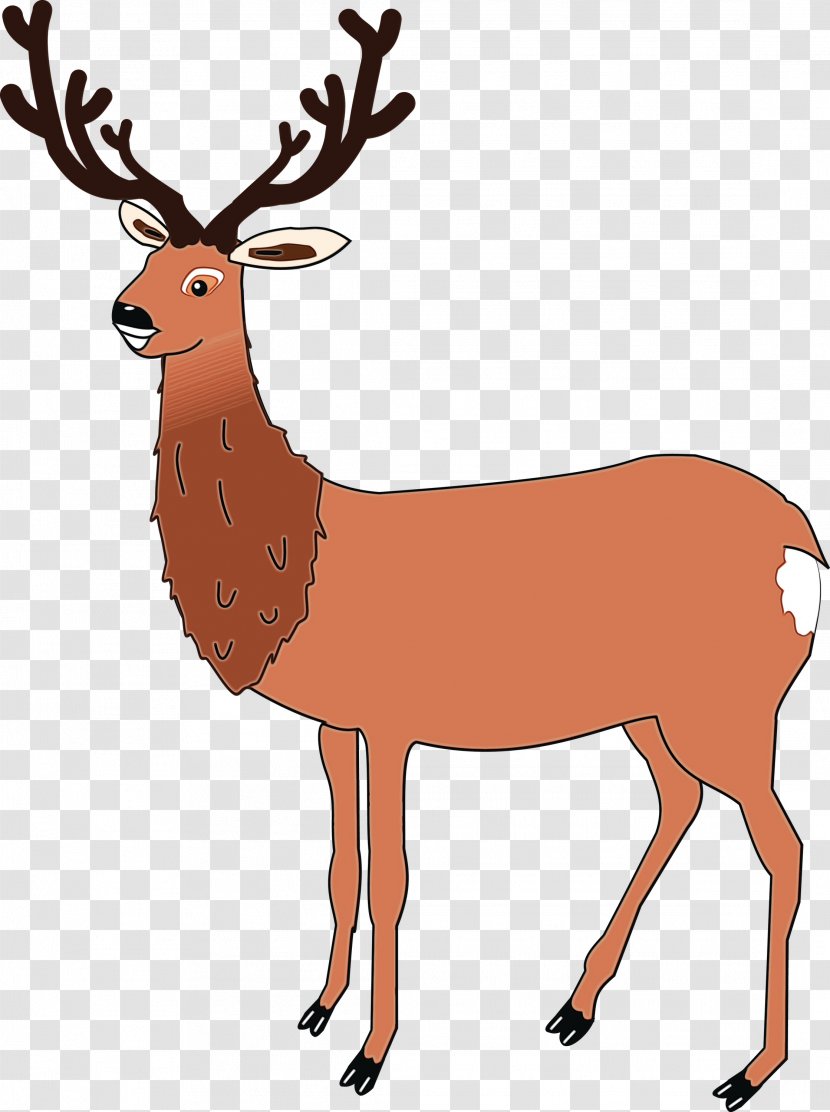 Reindeer - Roe Deer - Animal Figure Sticker Transparent PNG